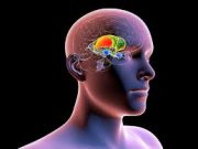 Study Habits That Improve or Damage Academic Performance