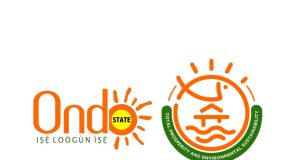 Ondo State Scholarship and Bursary Awards 2025 | How To Apply Ondo State Scholarship and Bursary Awards 2025 application process for students