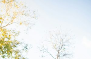 Top ECE Scholarships for International Students in 2025 Five people sit side by side on a low wall outdoors, smiling at the camera—perhaps celebrating their success with ECE Scholarships for International Students. Trees and a clear sky are visible in the background.